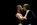 SHAKESPEARE LOVE CIRCLES